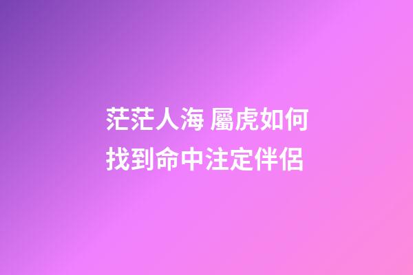 茫茫人海 屬虎如何找到命中注定伴侶